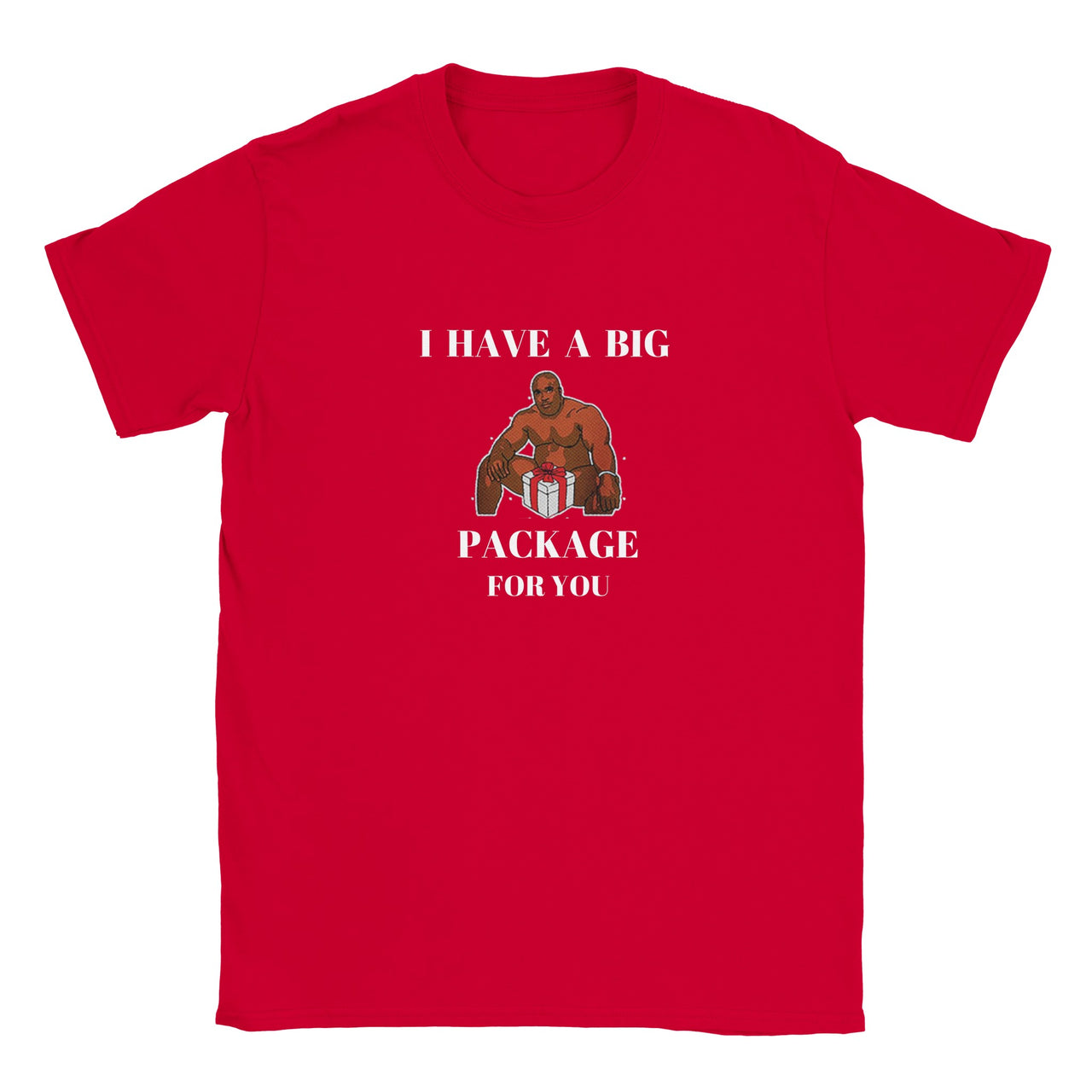 I Have A Big Package T-shirt