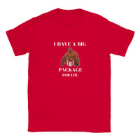 Thumbnail for I Have A Big Package T-shirt