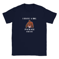 Thumbnail for I Have A Big Package T-shirt