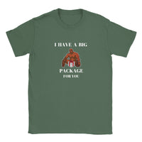 Thumbnail for I Have A Big Package T-shirt
