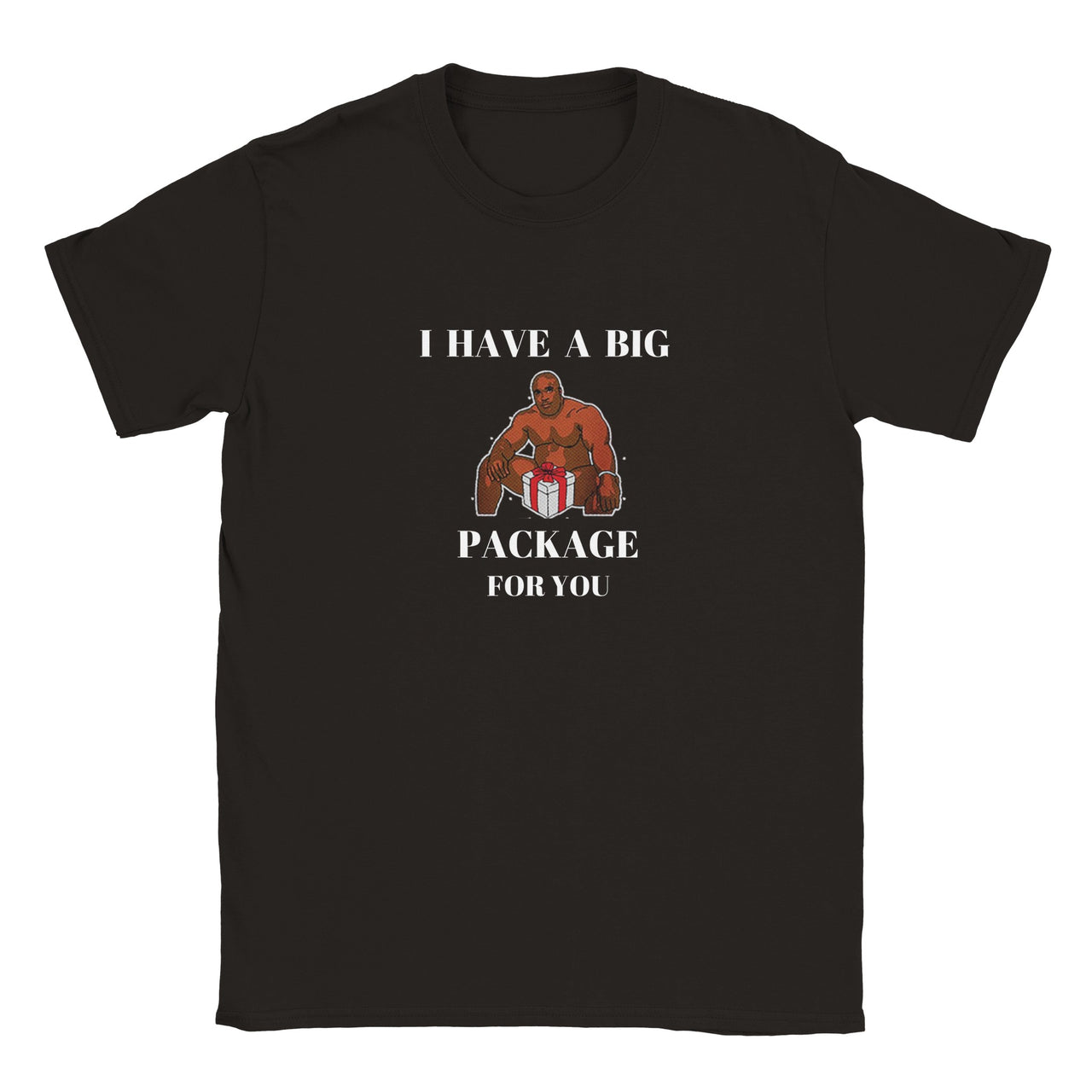 I Have A Big Package T-shirt
